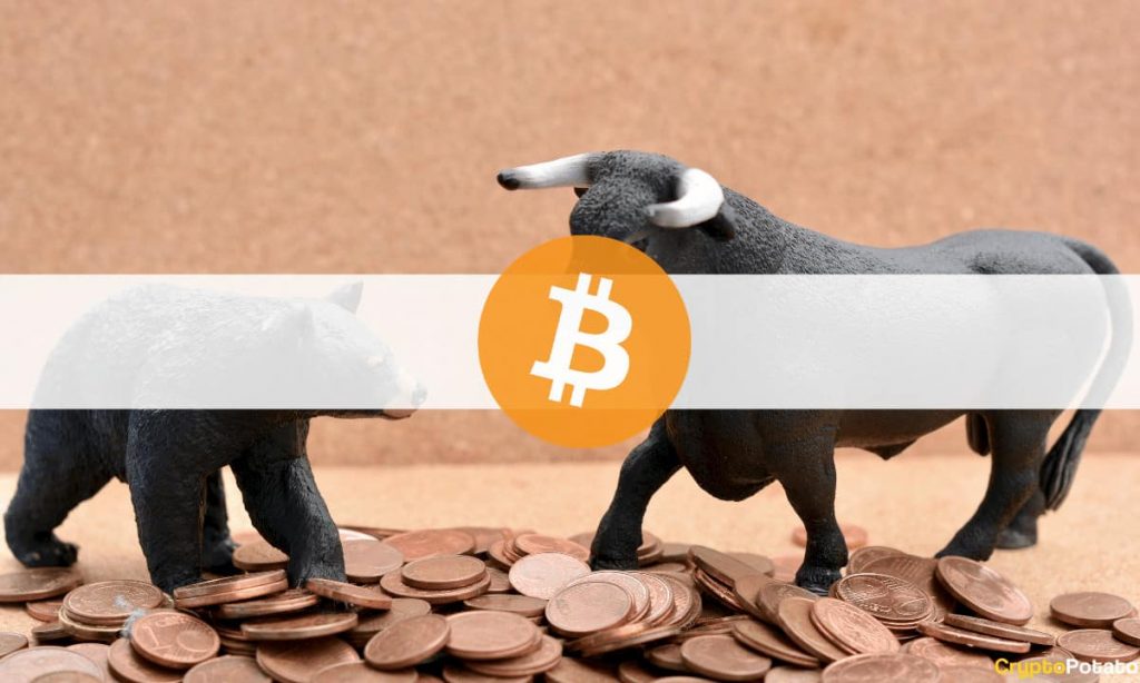 The Bullish and the Bearish Case For Bitcoin Following the Rally to $40K (On-Chain Analysis)