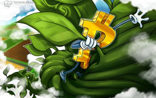 Analysts say $46,500 is the key level for Bitcoin to flip to support