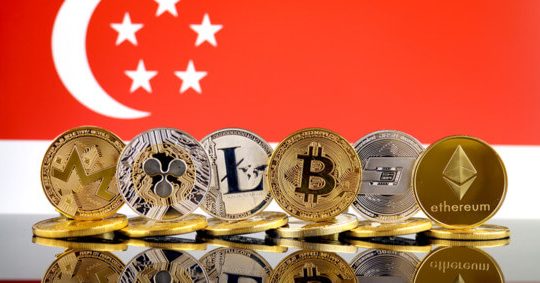 Survey shows that nearly half of Singaporeans hold crypto