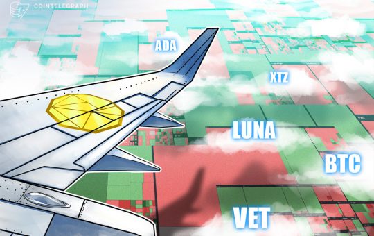 Top 5 cryptocurrencies to watch this week: BTC, ADA, LUNA, VET, XTZ