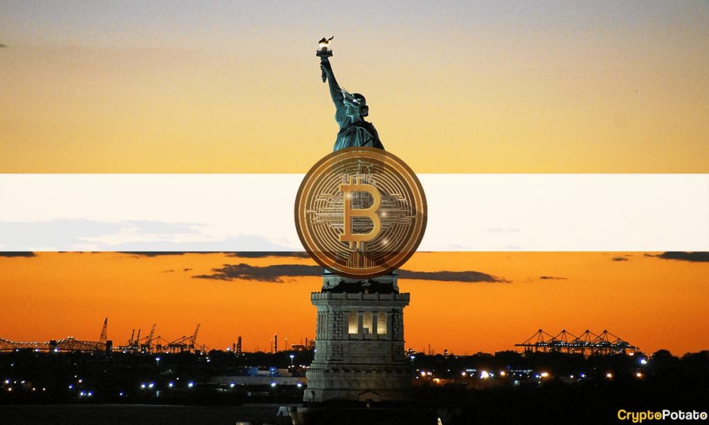 One in Every Four Americans in Favor of Legalizing Bitcoin in the US: Survey