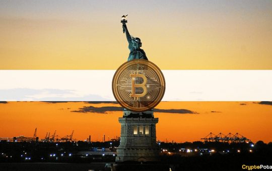 One in Every Four Americans in Favor of Legalizing Bitcoin in the US: Survey