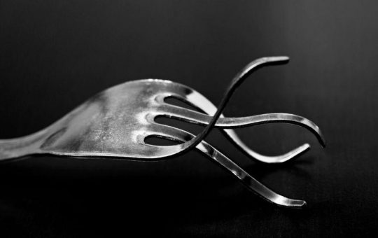 5 Bitcoin Forks: How They Performed Against BTC?