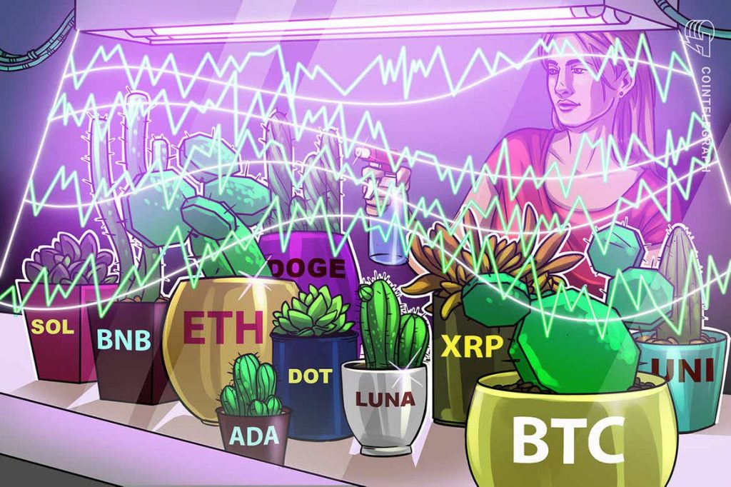 Price analysis 10/11: BTC, ETH, BNB, ADA, XRP, SOL, DOGE, DOT, LUNA, UNI