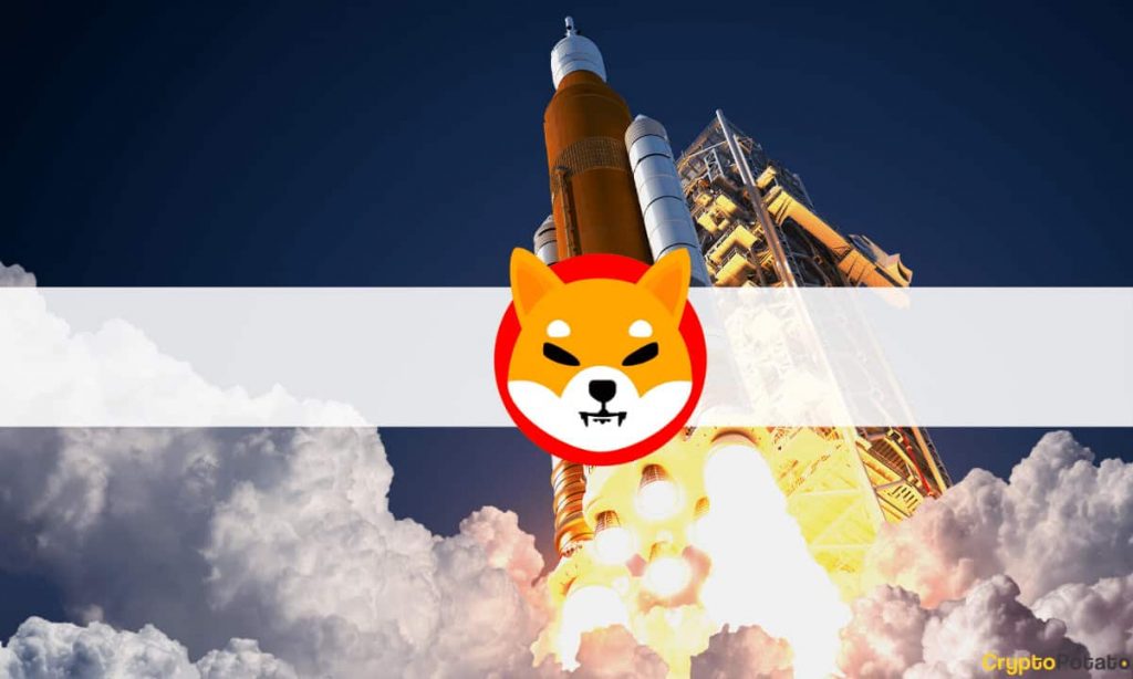 Shiba Inu (SHIB) Skyrockets 100% in Days Following a Big Whale Buy