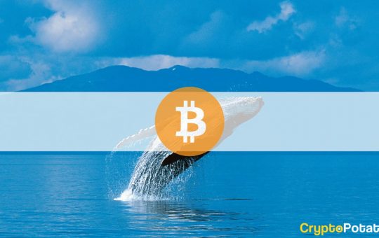 Third-Largest Bitcoin Whale Sold at $56K and Bought Back at $57K a Day Later