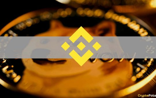 Binance Unveils Inside Details of the Dogecoin (DOGE) Incident