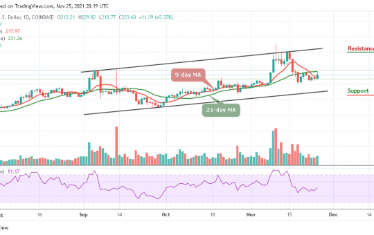 Litecoin Price Prediction