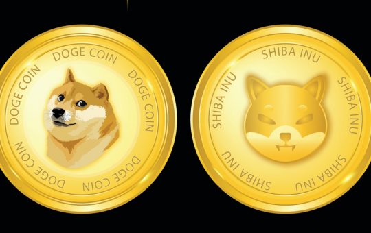 DOGE and SHIB Led the Pack of Meme-Based Assets in 2021, Both Tokens Dominate 85% of the Meme-Coin Economy