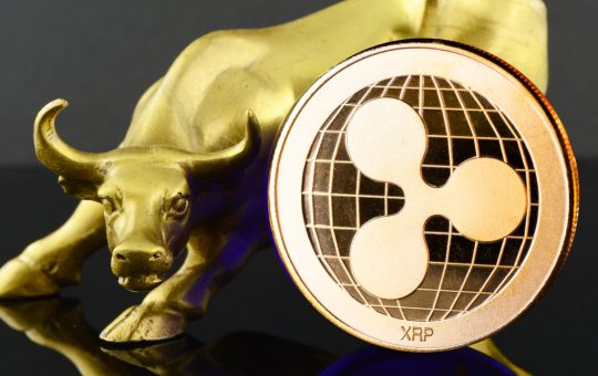 Ripple Achieves 'Strongest Year Ever' Despite SEC Lawsuit Over XRP, Says CEO