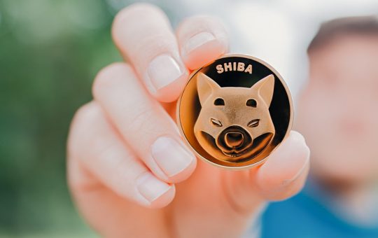 Shiba Inu prospects could improve after blockchain gaming move