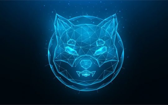 Shiba Inu Project Reveals 'Doggy DAO,' Devs Say Phase 1 to Provide 'Immediate Power to the SHIB Army'