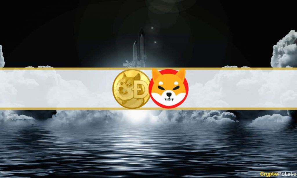 Shiba Inu and Dogecoin Explode 13%, Bitcoin Eyes $44K