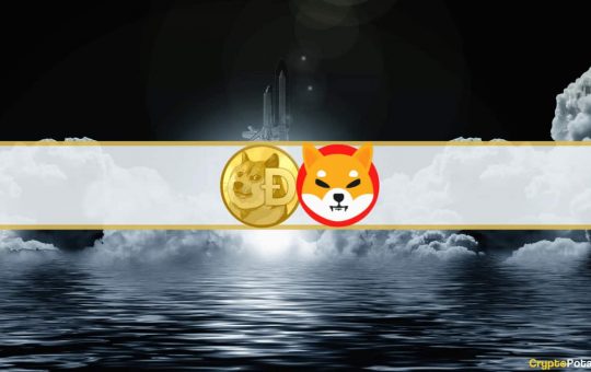 Shiba Inu and Dogecoin Explode 13%, Bitcoin Eyes $44K