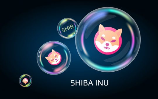 Should you buy Shiba Inu as the token awaits the metaverse call