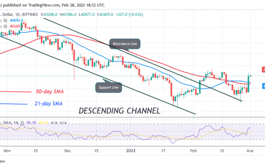 Bitcoin (BTC) Price Prediction: BTC/USD Pauses at $45K High as Bitcoin Reaches Overbought Region