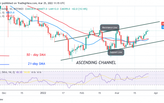 Bitcoin (BTC) Price Prediction: BTC/USD Retests the $45K Overhead Resistance, Can Bulls Breach the Recent High?