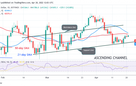 Bitcoin Price Prediction for Today April 20: BTC Price Is Stuck Below $42K as Bitcoin Continues Sideways Move