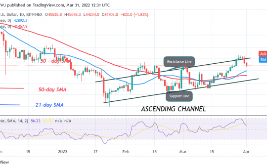 Bitcoin (BTC) Price Prediction: BTC/USD Reaches Oversold Region as Bitcoin Holds Above $44K