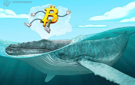 Biggest future BTC whale explains why Bitcoin was chosen for 'decentralized Forex reserve'