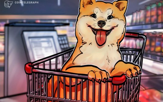 Dogecoin price risks 40% correction despite Elon Musk-Twitter euphoria