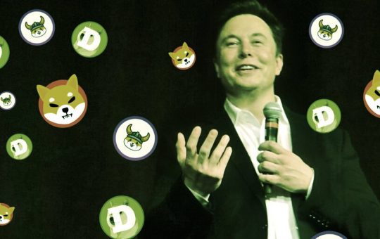 What Elon Musk Could Do for Crypto Twitter and Dogecoin