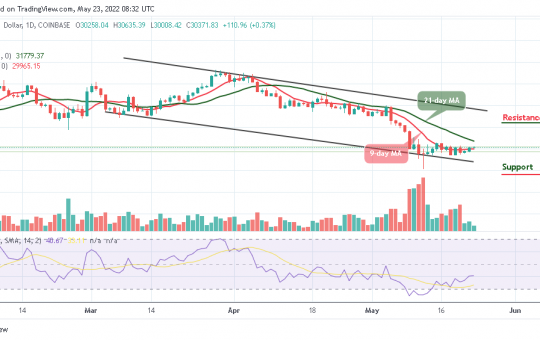 Bitcoin Price Prediction