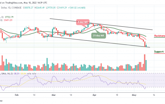 Bitcoin Price Prediction