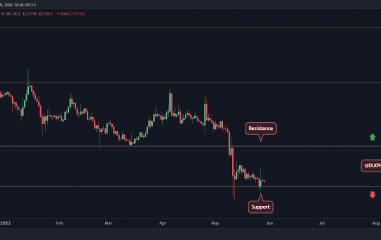 Despite Elon Musk's Recent Tweets, DOGE At Critical Support