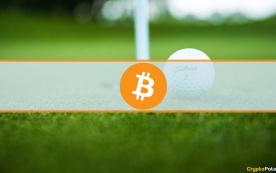 Sunshine Tour's Best Golfers to Win Bitcoin Awards