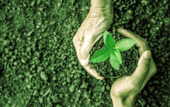 WeWork Founder Raises $70M for Carbon Credit Crypto Project, a16z Leads Round