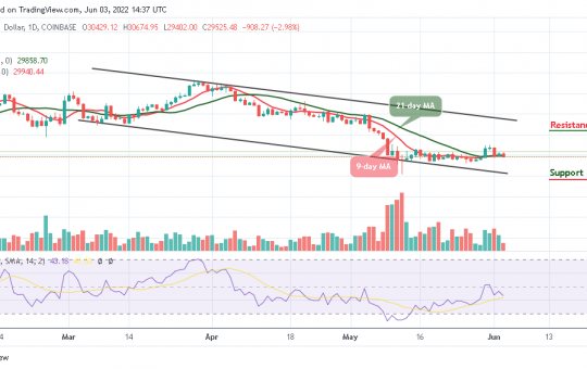 Bitcoin Price Prediction