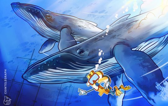 Bitcoin whale support lines up as trader says $14K 'most bearish' BTC price target