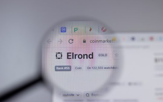 Elrond’s EGLD is down by more than 1%