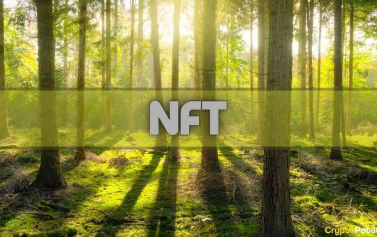 NFT and Crypto Games Outperformed DeFi Amid Market Selloffs in May: Report