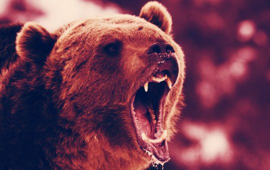 ‘Like Coming Off Heroin’: How Bad Will This Bitcoin Bear Market Get?