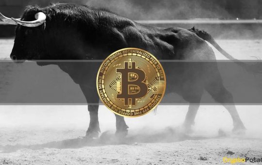 Here's What Could Kick off a Bitcoin Bull Rally According to TD Ameritrade