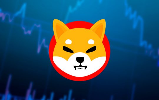 Shiba Inu price prediction as the number of investors grows by 21,000