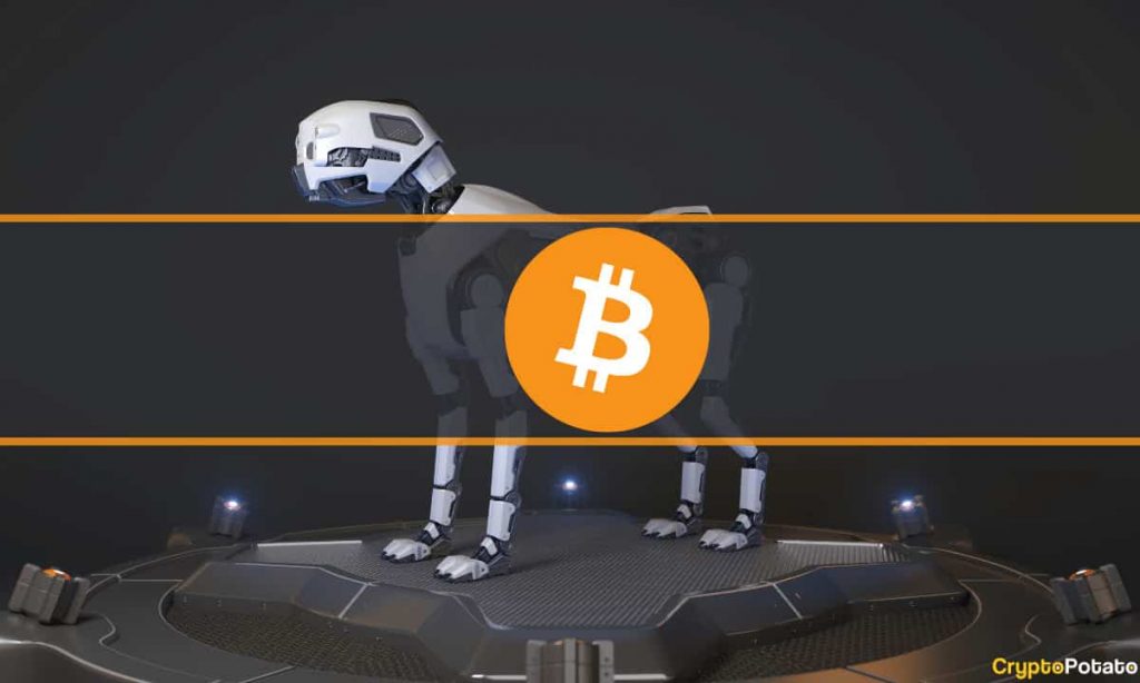 This Desperate Man Plans Build Robot Dogs to Find a Hard Drive With $169M Worth of BTC (Report)