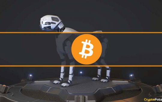 This Desperate Man Plans Build Robot Dogs to Find a Hard Drive With $169M Worth of BTC (Report)