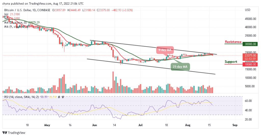 BTC Bears Could Demolish $23,000 Support as Tamadoge Corrects Upward