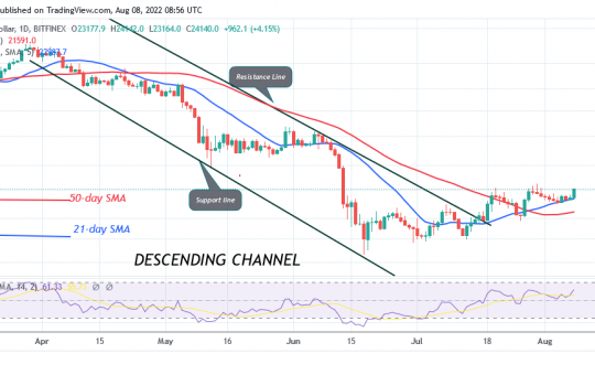 Bitcoin Price Prediction for Today August 8: BTC Price Suffers a Setback as It Faces Rejection at $24.2K