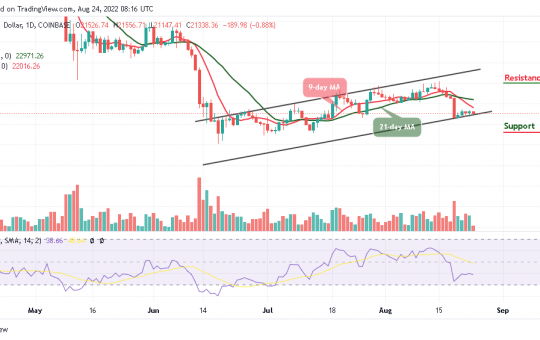 BTC Trades Below $21,500 Level; Buy Tamadoge Today