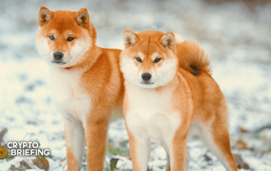 Dogecoin, Shiba Inu Prepare to Break Out