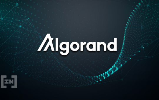 Algorand Foundation Discloses $35M Exposure in Hodlnaut