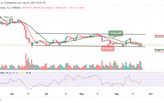 BTC Could Drop Below $18,000 Support as Tamadoge Corrects Upward