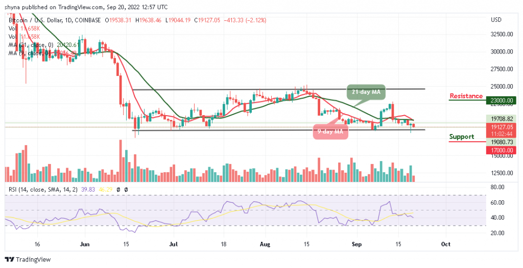 BTC Falls Below $19,500; TAMA is Trending