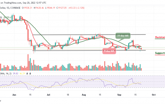 BTC Falls Below $19,500; TAMA is Trending