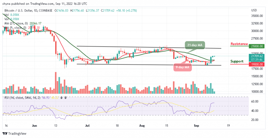 BTC Looks For A Direction; TAMA Goes Bullish