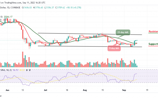 BTC Looks For A Direction; TAMA Goes Bullish